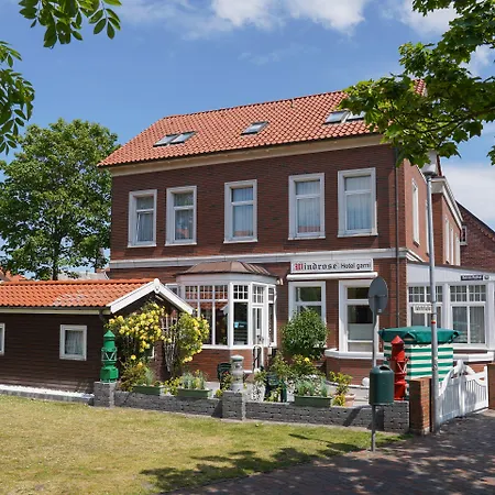Windrose Borkum